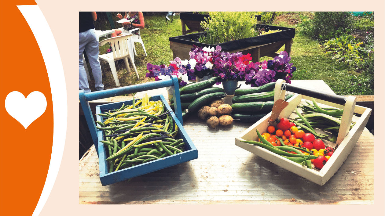 This is a colourful photo of fresh produce DEEP members have grown. There are runner beans (green and yellow), cucumbers, potatoes, flowers (purple, pink and white), and tomatoes (red, yellow and orange). All are laid out on a wooden table in a garden or allotment.
